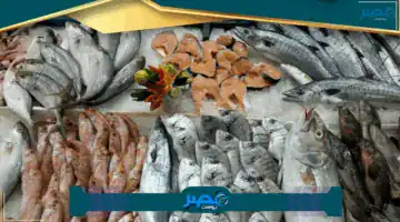 «فرصتك الآن» شقق الإسكان الجديدة اكتشف إذا كان اسمك ضمن القائمة المحدثة